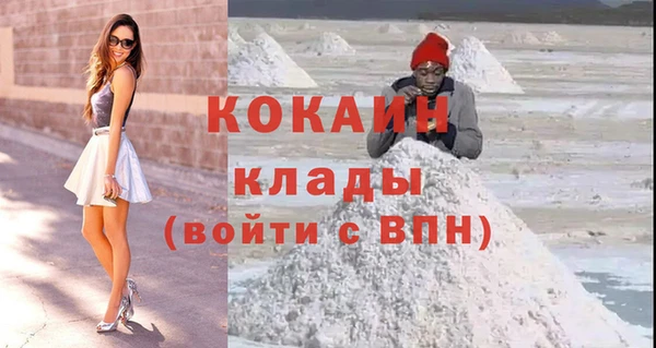 индика Вяземский